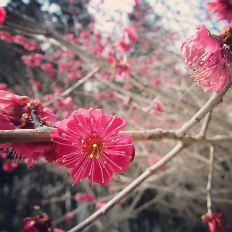 IMG_20170329_164121_504 (1)