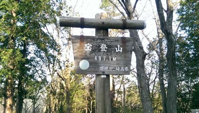 IMAG1987