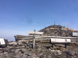 IMG_0929