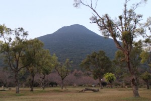 IMG_0972