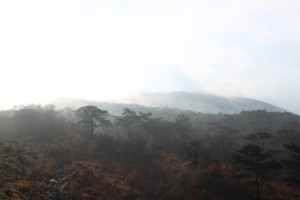 IMG_1048