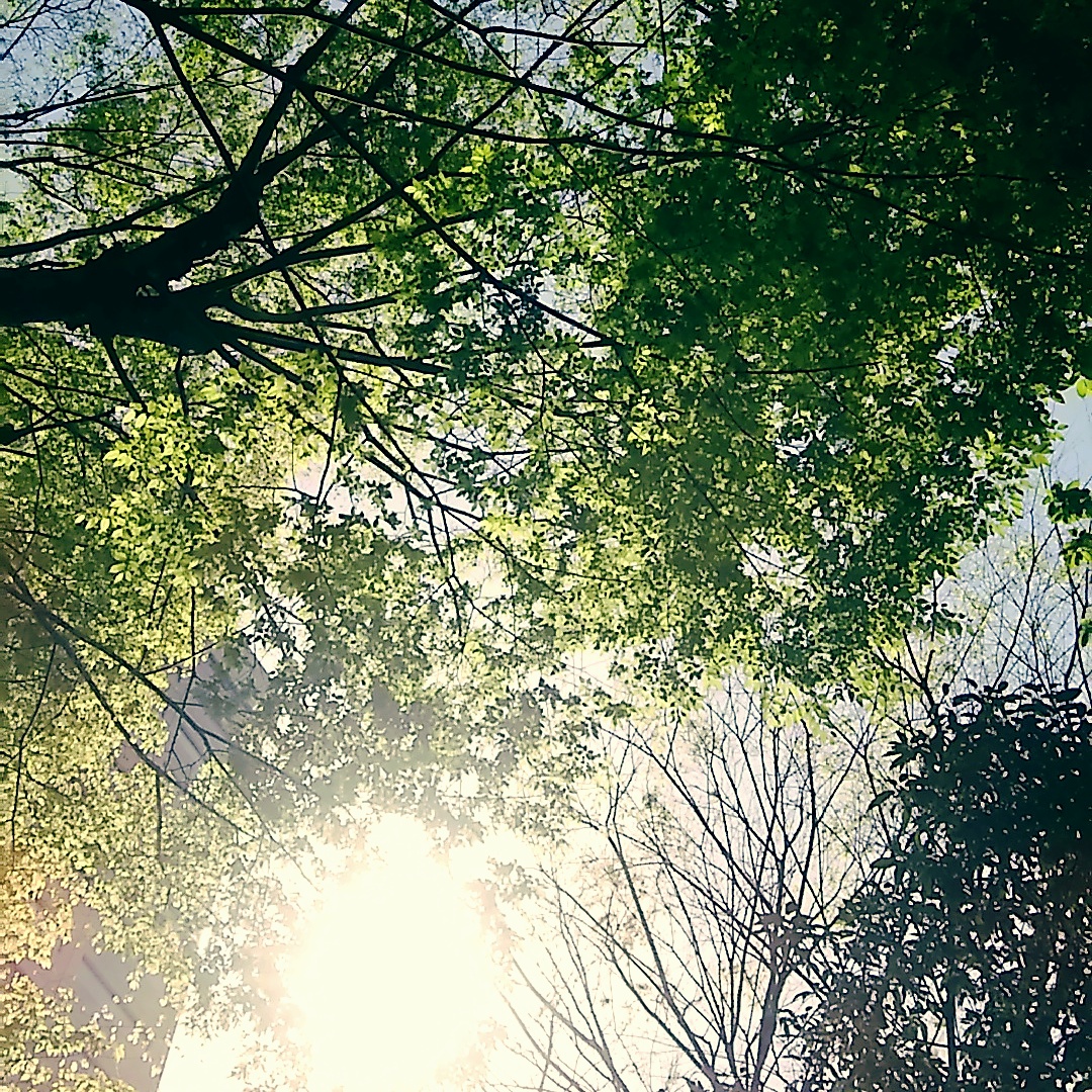 IMG_20170416_115521_617