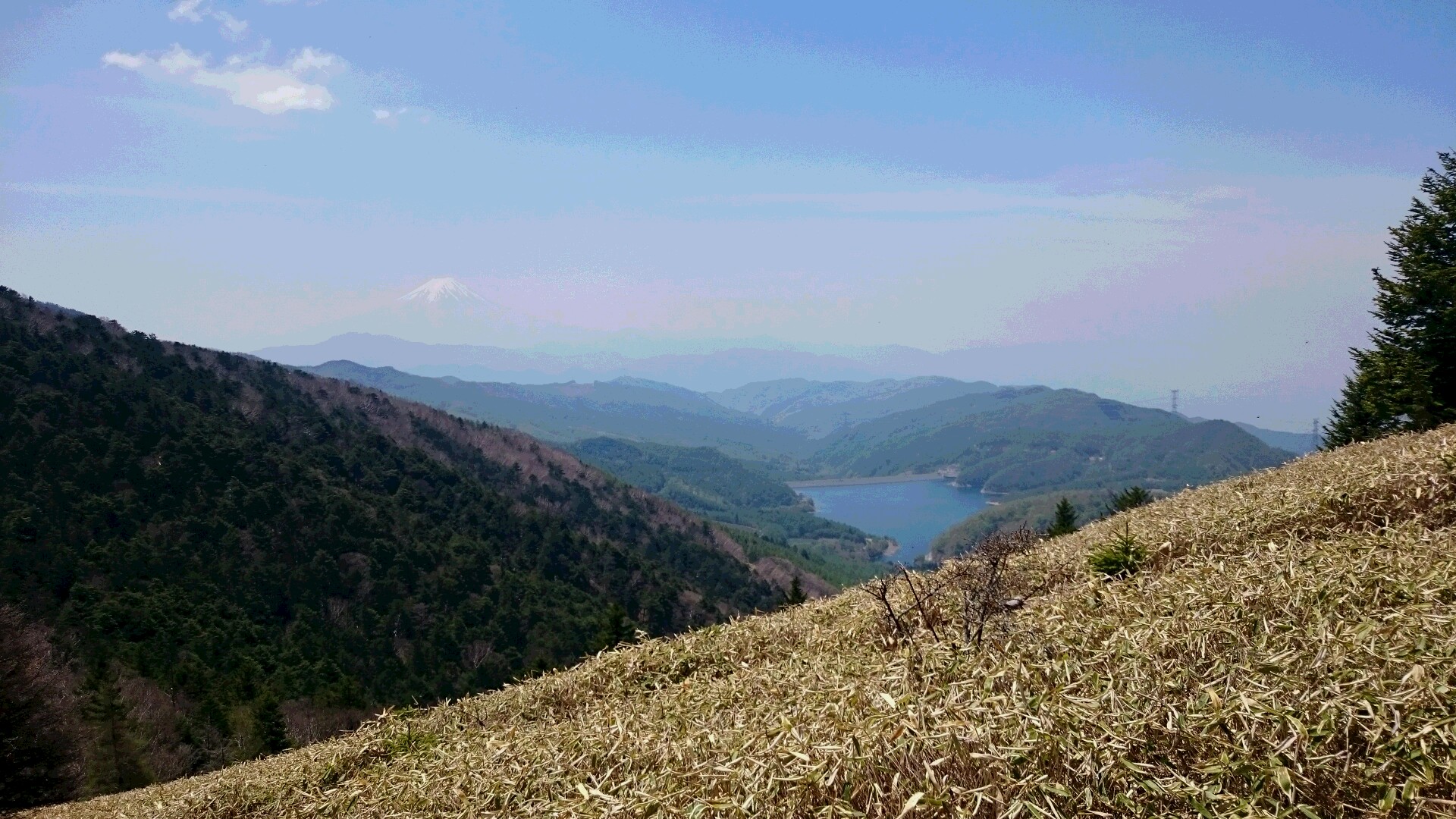 DSC_1182