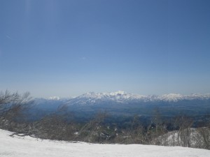 IMGP1621
