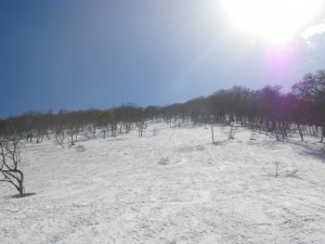 IMGP1638
