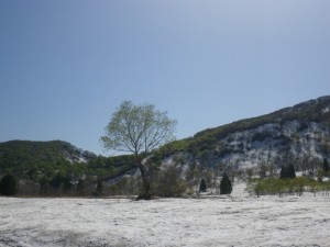 IMGP1640