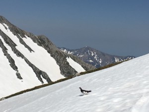 IMG_1306