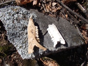 P4300020