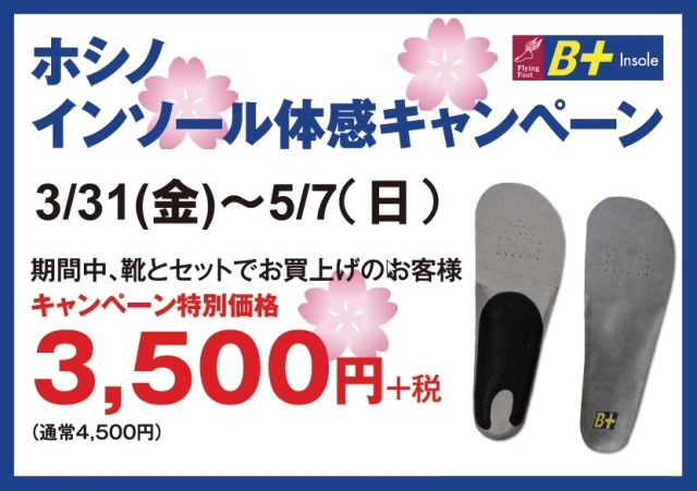 hoshino