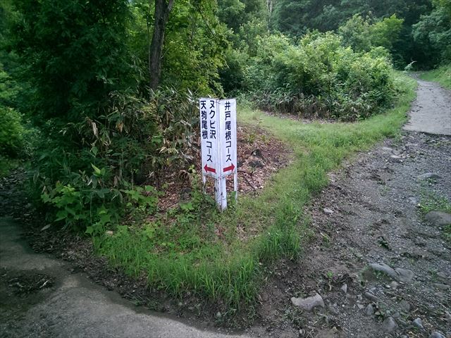 IMAG3025_R