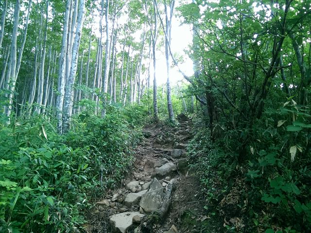 IMAG3039_R