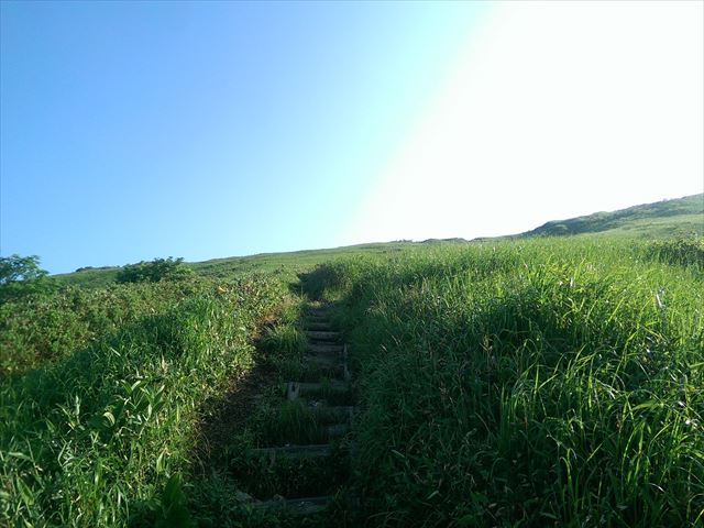 IMAG3064_R
