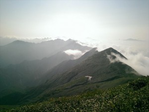 IMAG3083_R