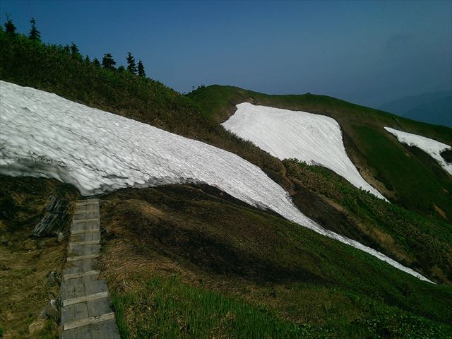 IMAG3096_R