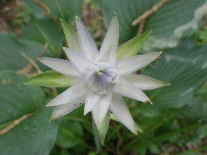IMGP2259