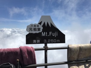 IMG_2252
