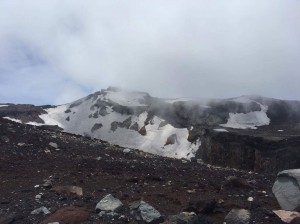 IMG_2265