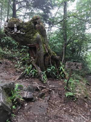 ９常念IMG_0370