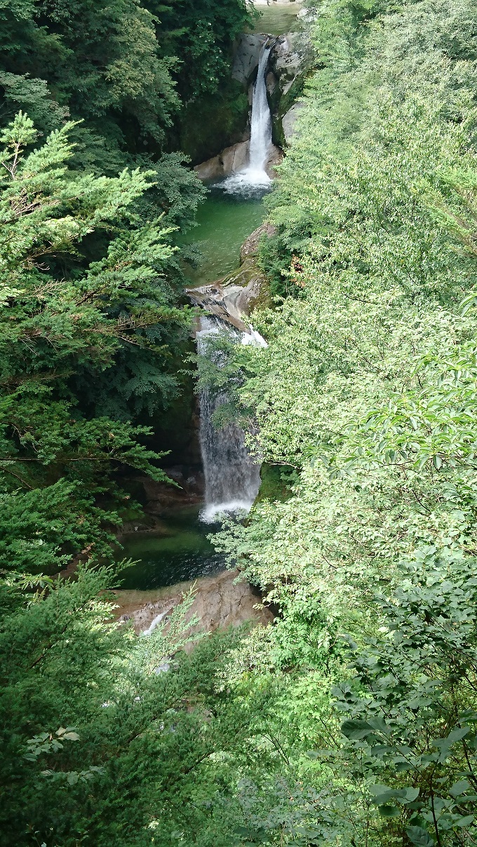 DSC_0272