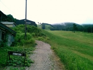 IMAG3368_R