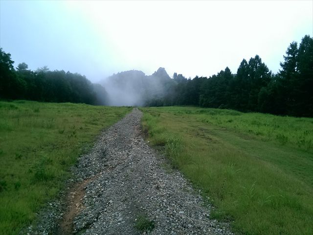 IMAG3372_R