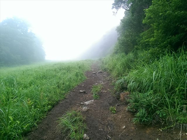 IMAG3377_R