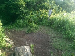 IMAG3382_R