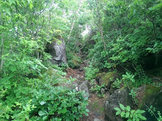 IMAG3385_R
