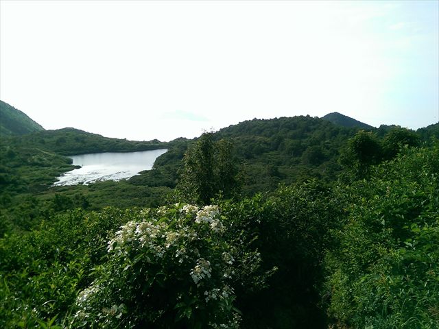 IMAG3422_R