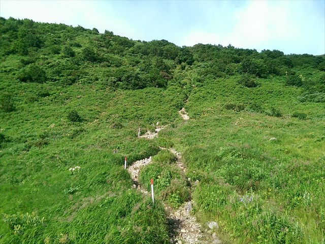 IMAG3430_R