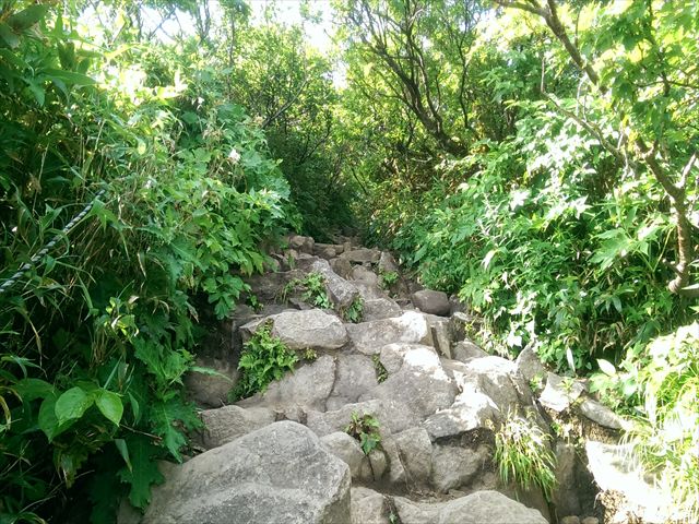 IMAG3440_R