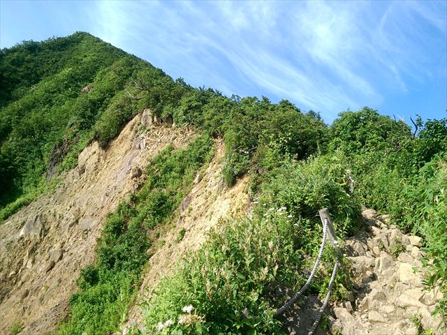 IMAG3441_R