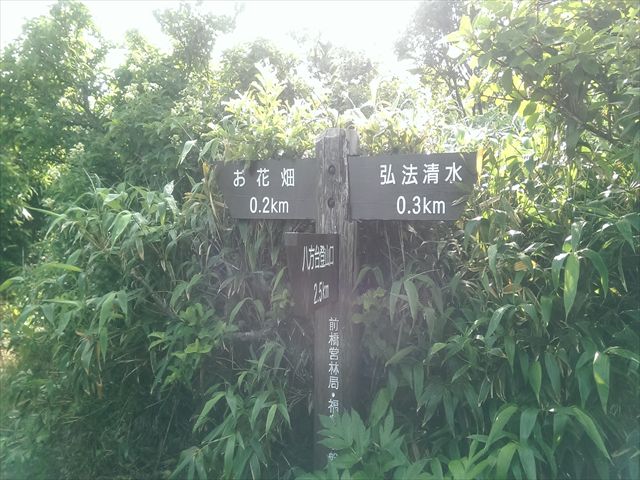 IMAG3470_R