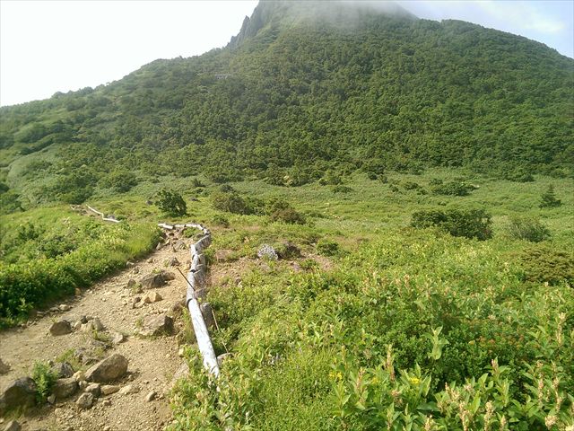 IMAG3478_R
