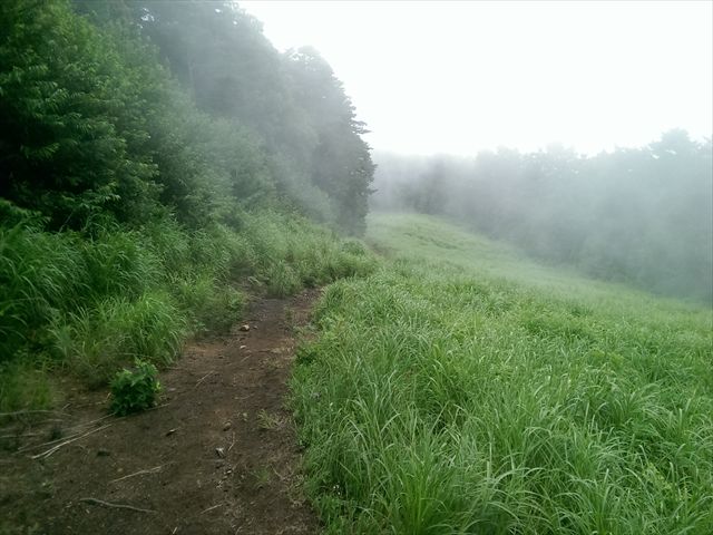 IMAG3495_R