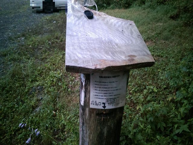 IMAG3733_R