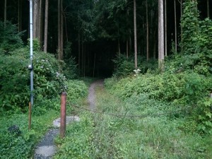 IMAG3737_R