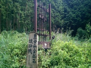 IMAG3738_R