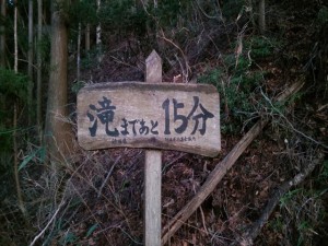 IMAG3743_R