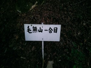 IMAG3745_R