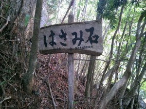 IMAG3746_R