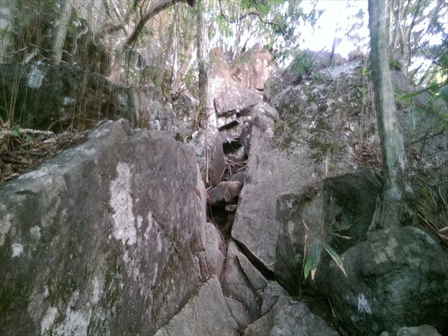 IMAG3747_R