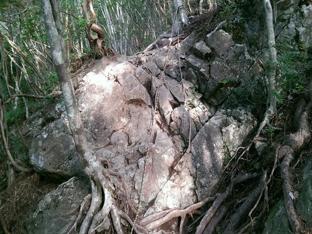 IMAG3760_R