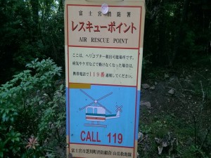 IMAG3763_R