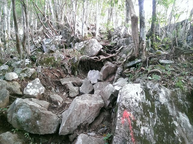 IMAG3768_R