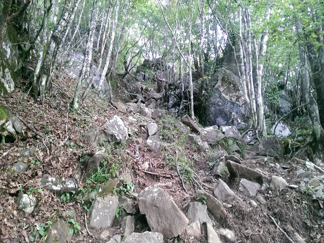 IMAG3774_R