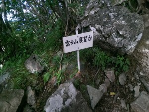 IMAG3778_R