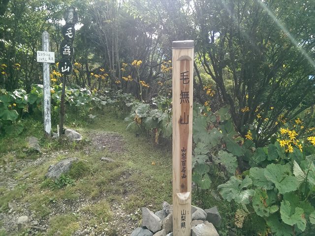 IMAG3795_R
