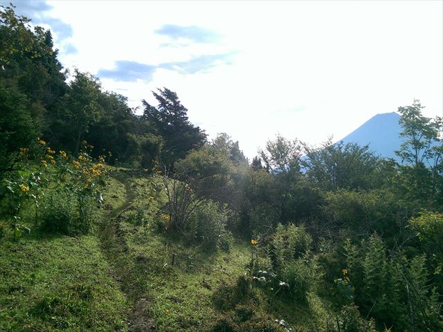 IMAG3821_R