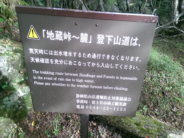 IMAG3843_R